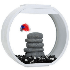 Blue Planet Aquarium Deco O Mini 10L White