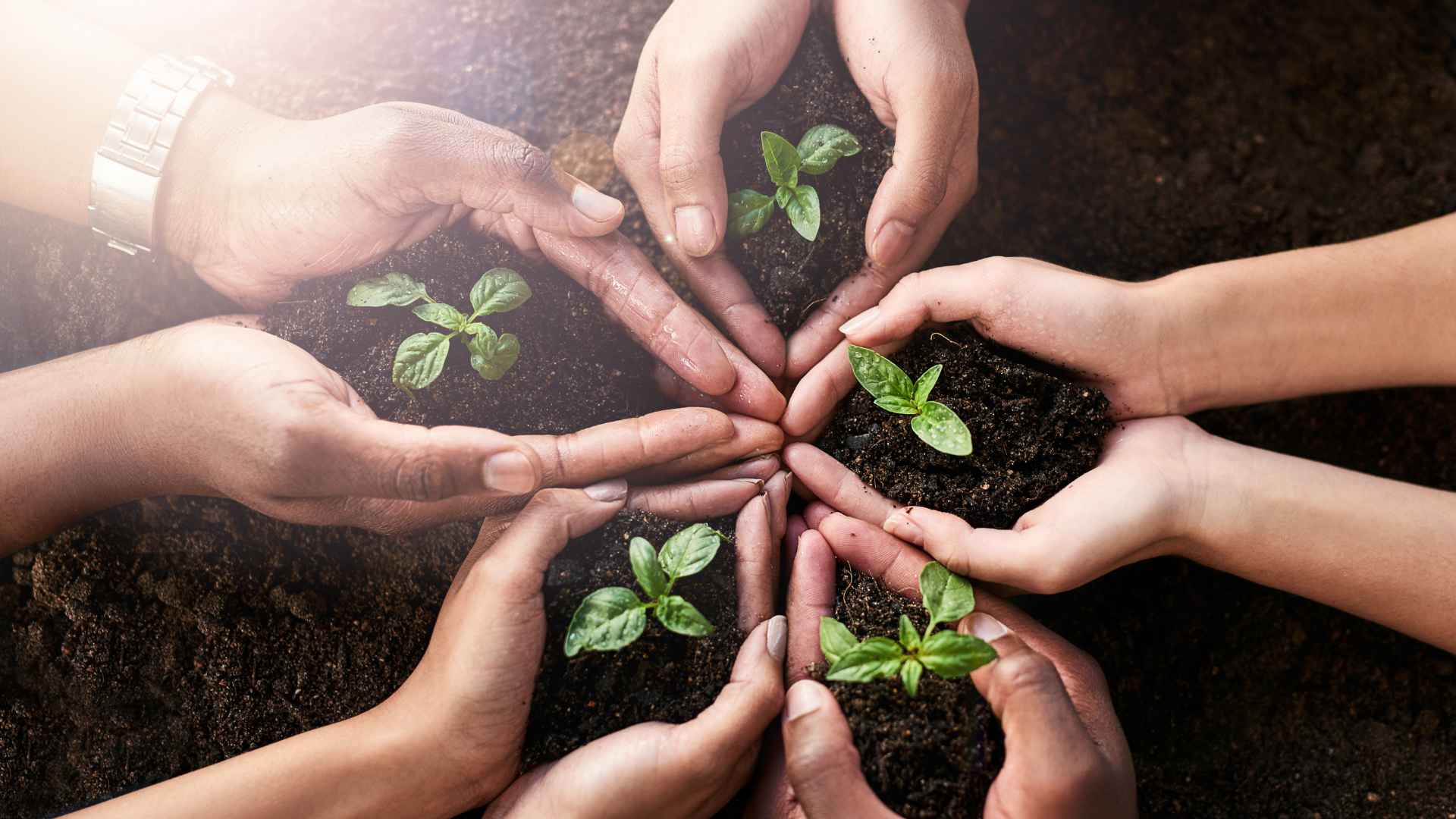 3 Ron Woods - Obanato