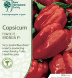Capsicum Sweet Redskin F1