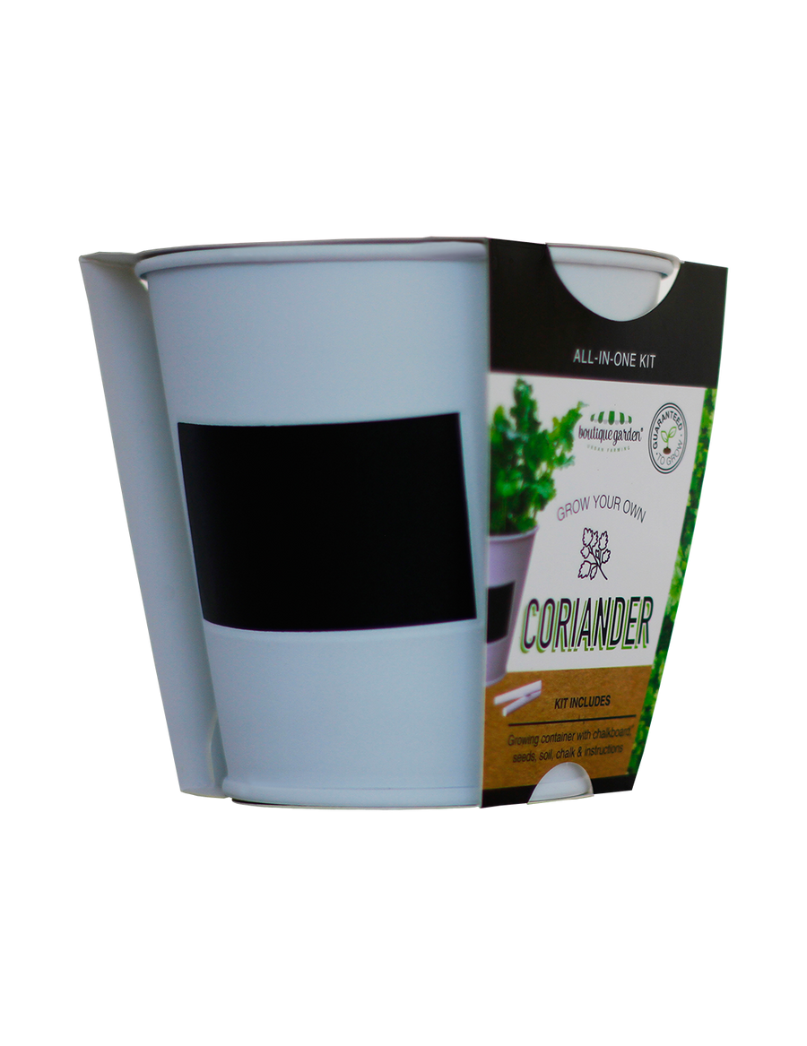 Coriander - Chalkboard Grow Kit Tin - Image 3