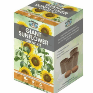 Giant Sunflower Starter Kit