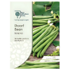 Dwarf Bean Domino
