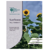 Sunflower Tall Timber F1