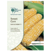 Sweet Corn Sun and Snow F1