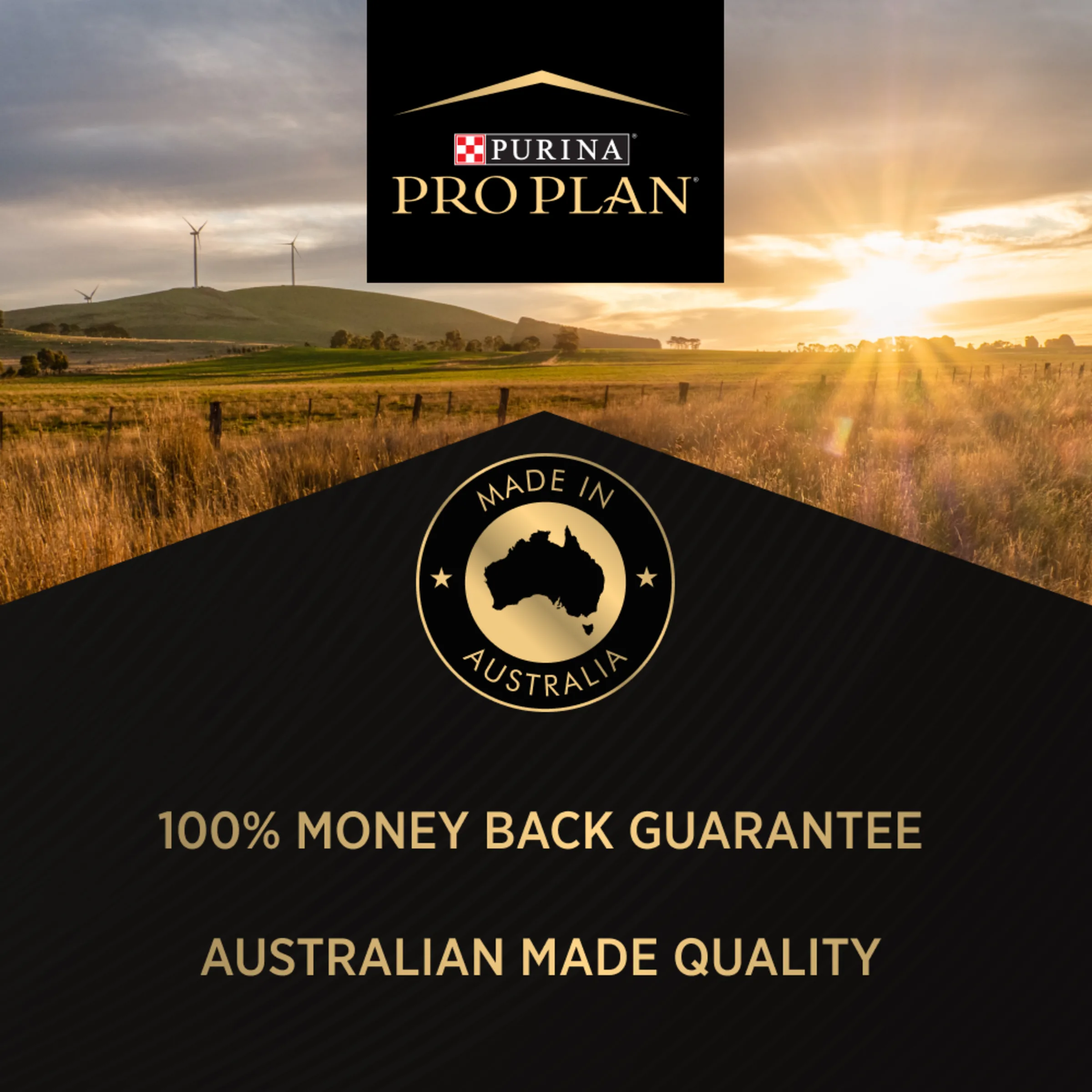 PRO PLAN Adult Salmon Formula Dry Cat Food 3kg - Image 6