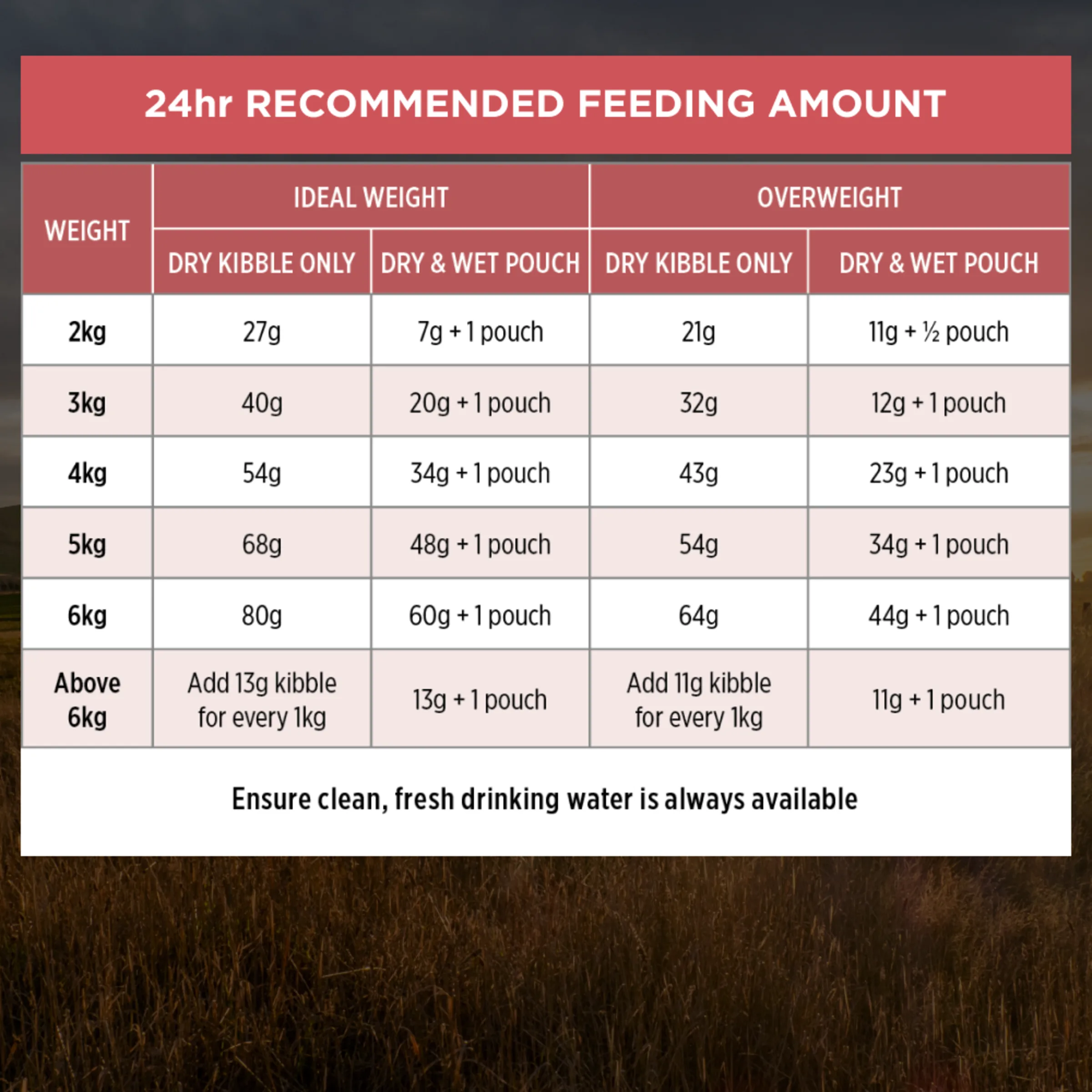 PRO PLAN Fussy & Beauty Salmon Formula Dry Cat Food 1.5kg - Image 11