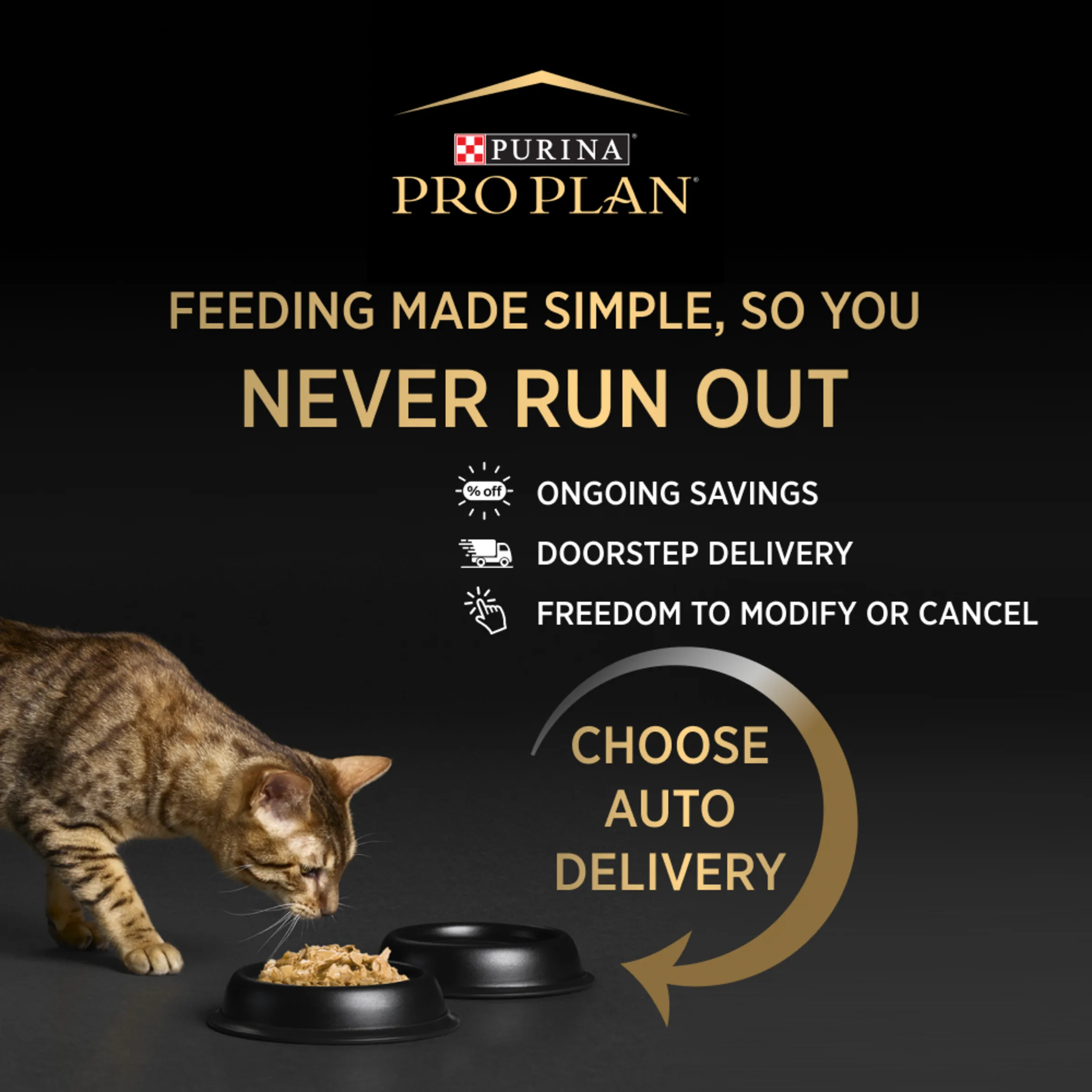 PRO PLAN Fussy & Beauty Salmon Formula Dry Cat Food 1.5kg - Image 13