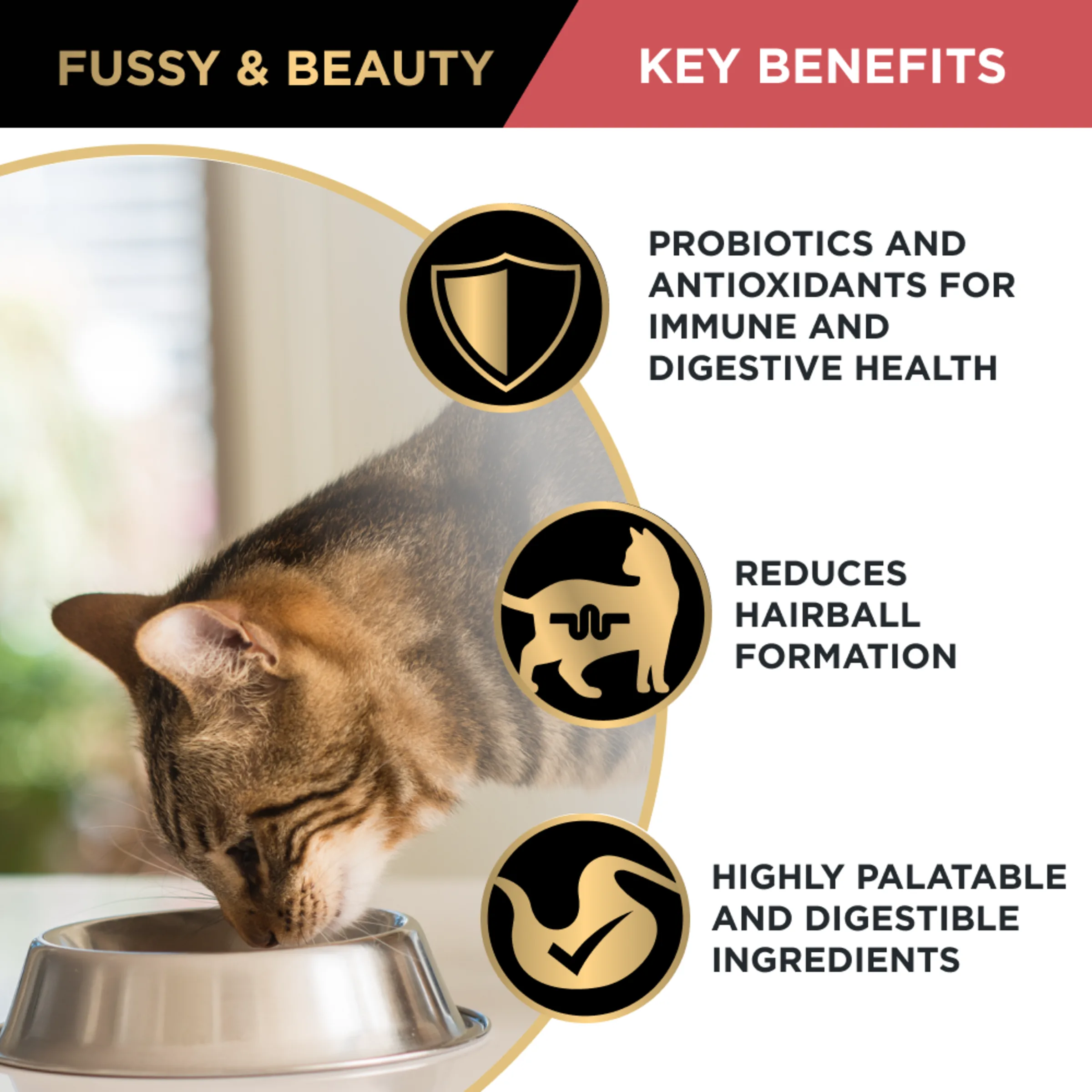PRO PLAN Fussy & Beauty Salmon Formula Dry Cat Food 1.5kg - Image 5