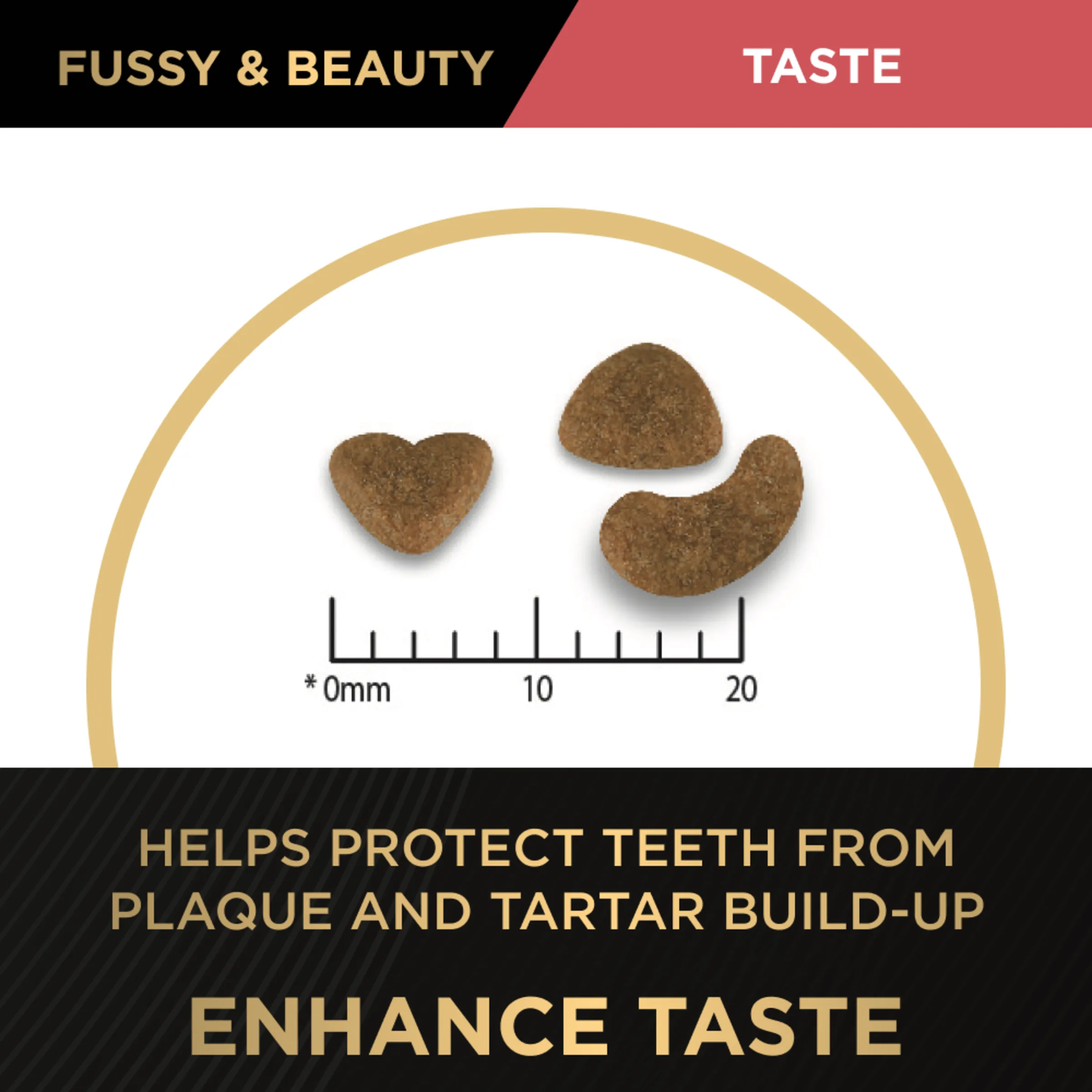 PRO PLAN Fussy & Beauty Salmon Formula Dry Cat Food 1.5kg - Image 6