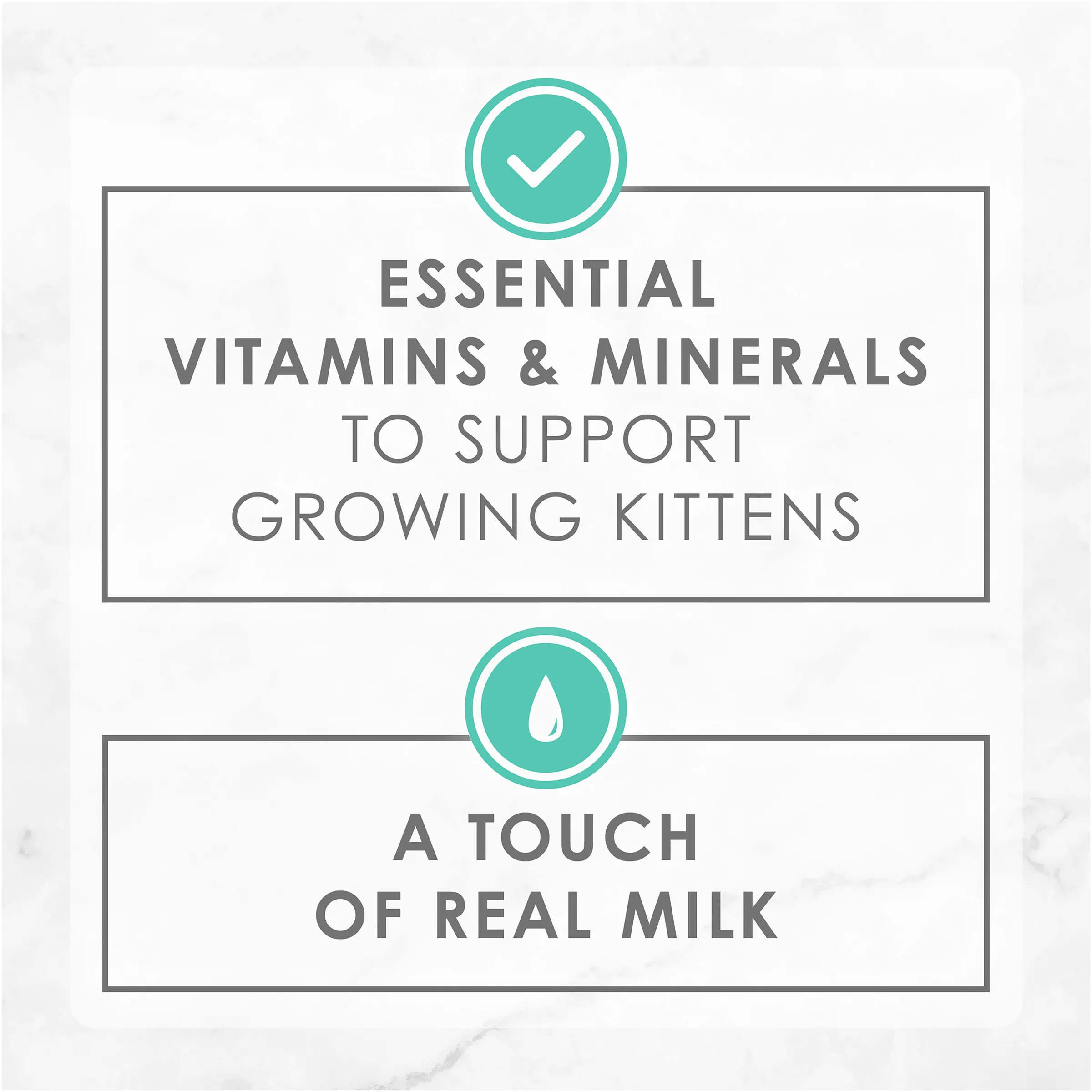 FANCY FEAST Kitten Classic Paté Collection Wet Cat Food 24 x 85g - Image 6