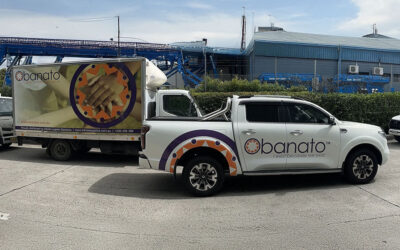 The Newest Members of the team