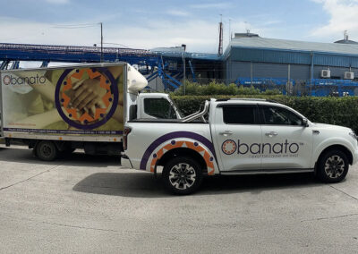 The Newest Members of the team