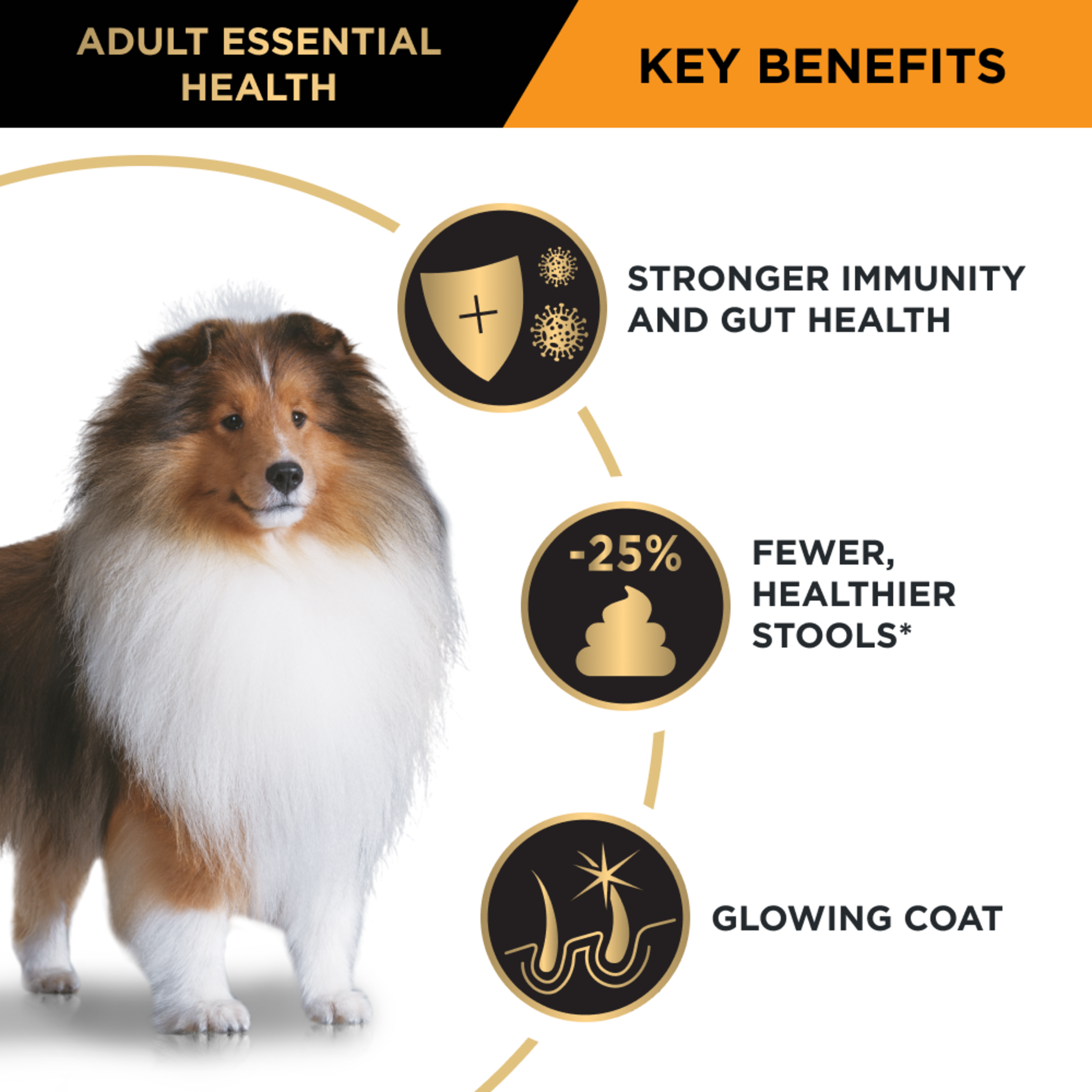 PRO PLAN Adult Medium Breed Chicken Dry Dog Food 3kg - Image 17