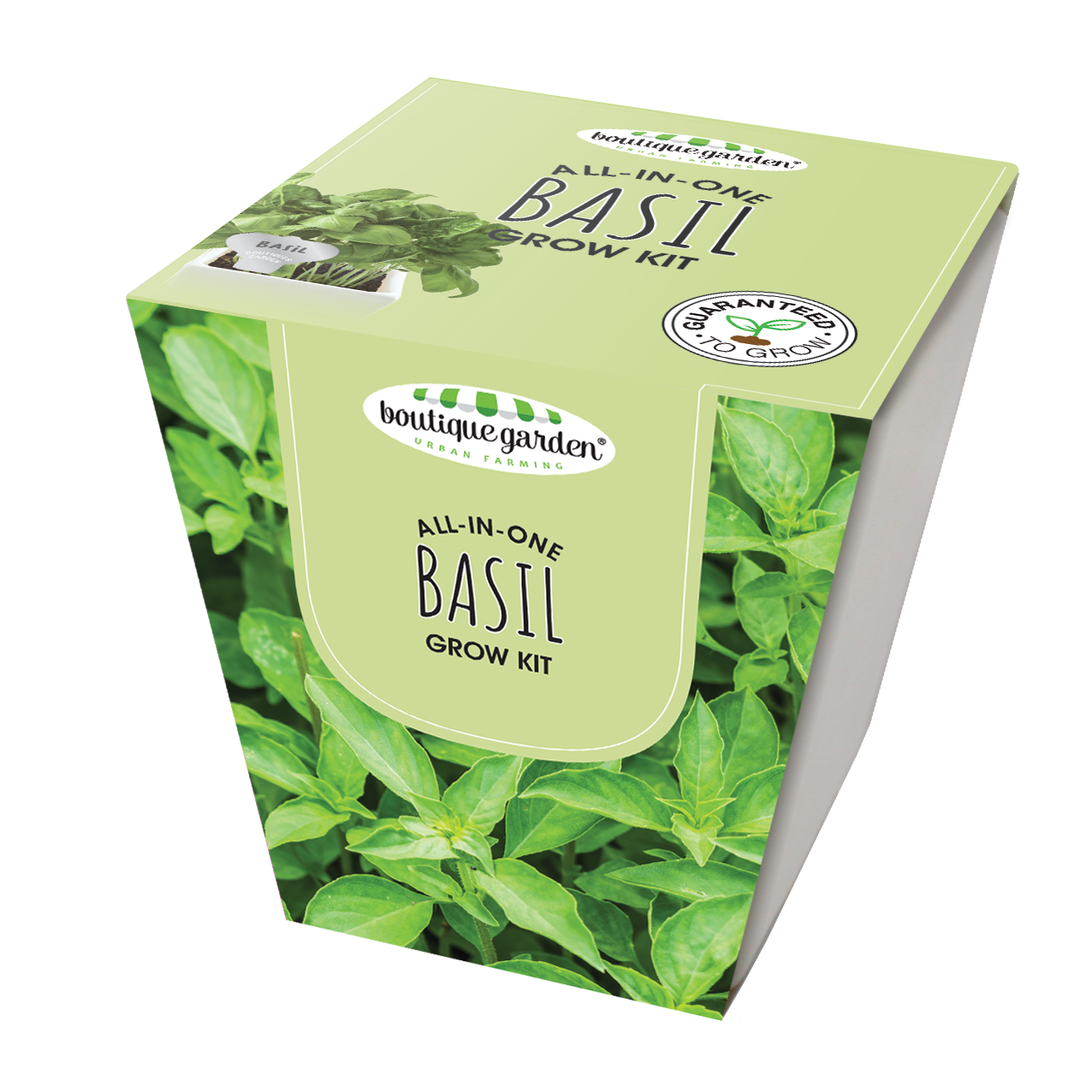 Square Ceramic Pot Basil