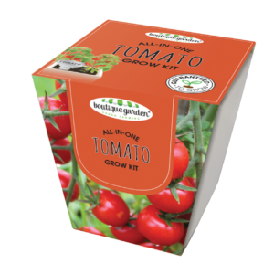 Square Ceramic Pot Tomato