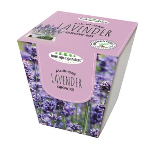 Square Ceramic Pot Lavender