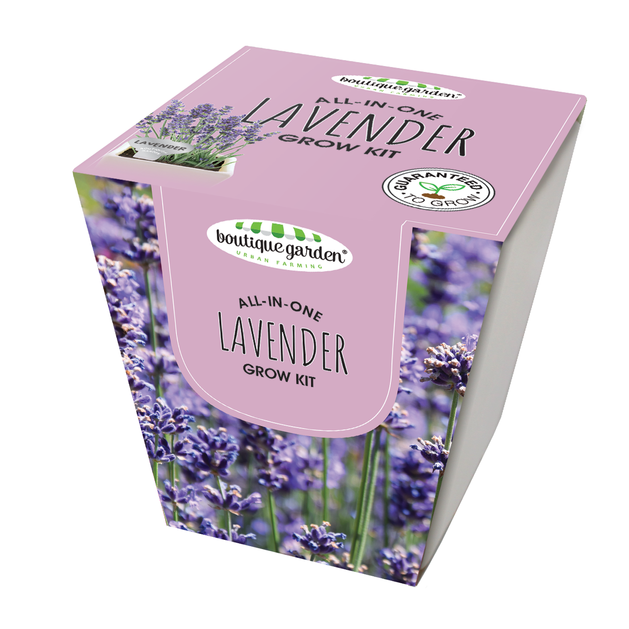 Square Ceramic Pot Lavender