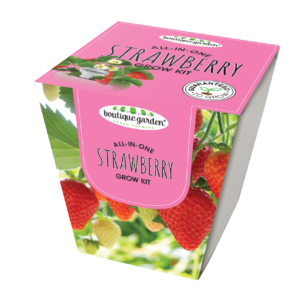 Square Ceramic Pot Strawberry