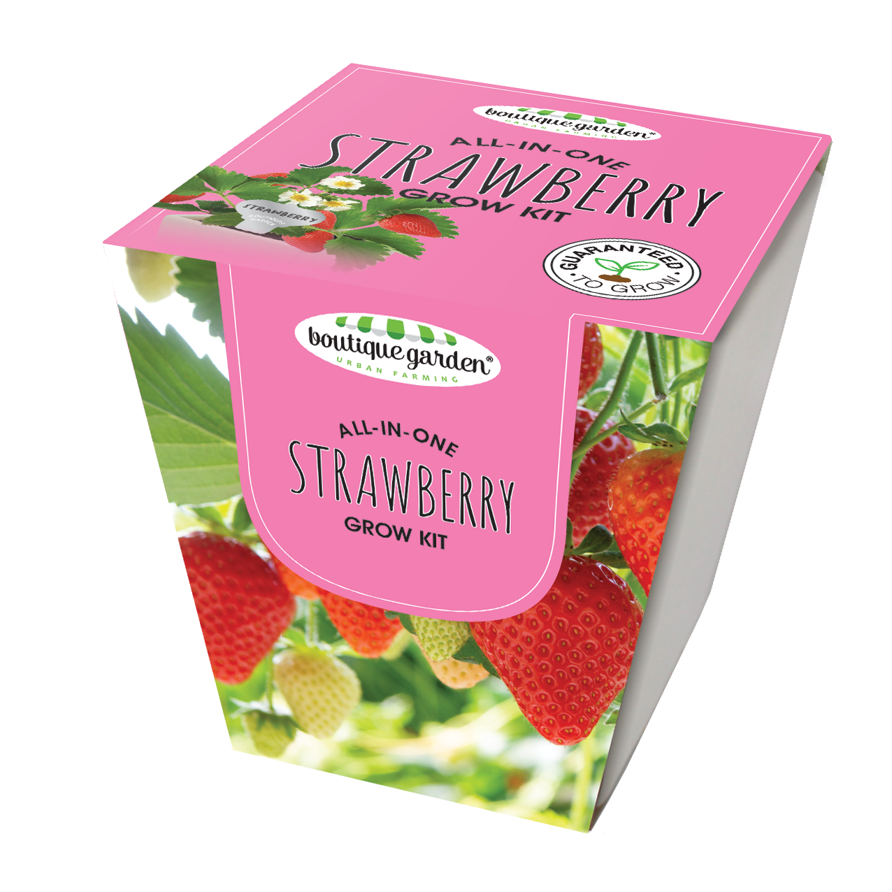 Square Ceramic Pot Strawberry