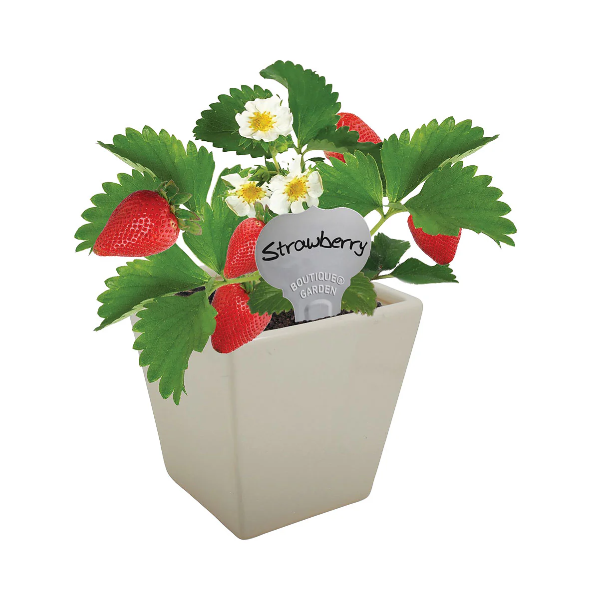 Square Ceramic Pot Strawberry - Image 2