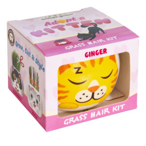 Grass Hair Kit - Kittens (Ginger)