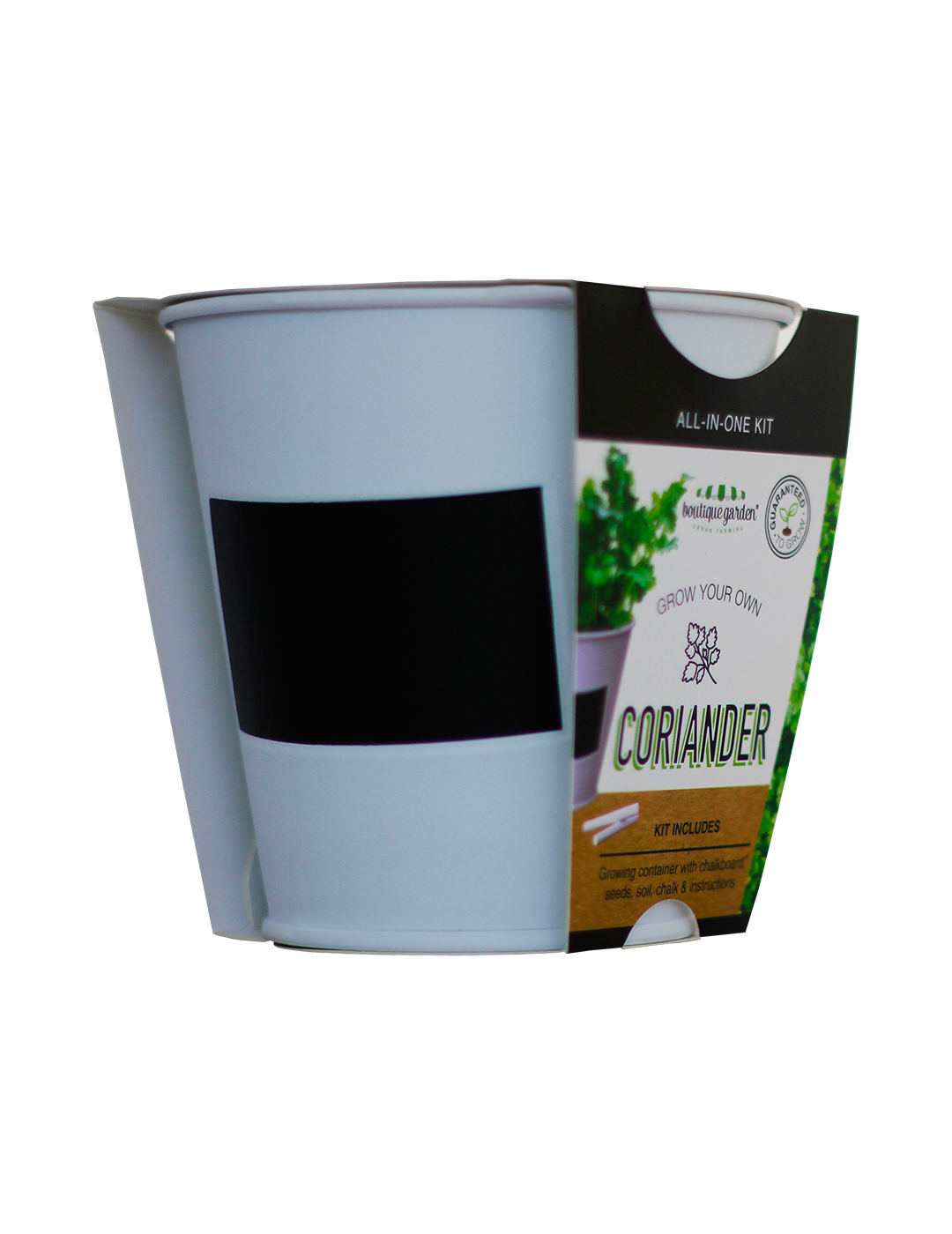 Coriander - Chalkboard Grow Kit Tin - Image 2