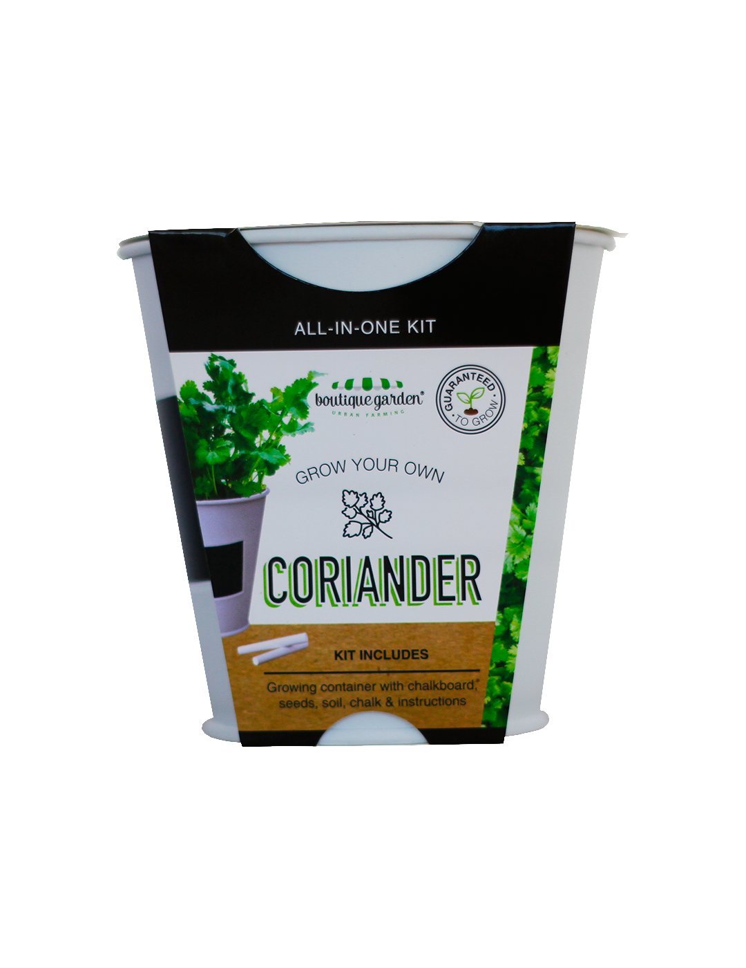 Coriander - Chalkboard Grow Kit Tin