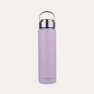 Insulated Drink Bottle 650ml | Plum