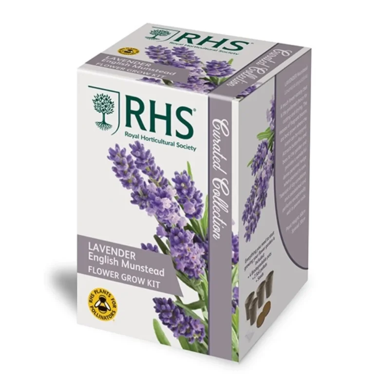 RHS Lavender English Munstead Flower Grow Kit