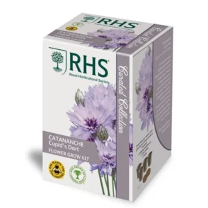 RHS Catananche Cupid’s Dart Flower Grow Kit