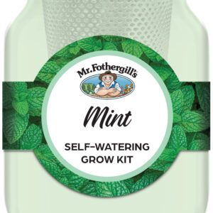 Spearmint Self-Watering Mason Jar Grow Kit