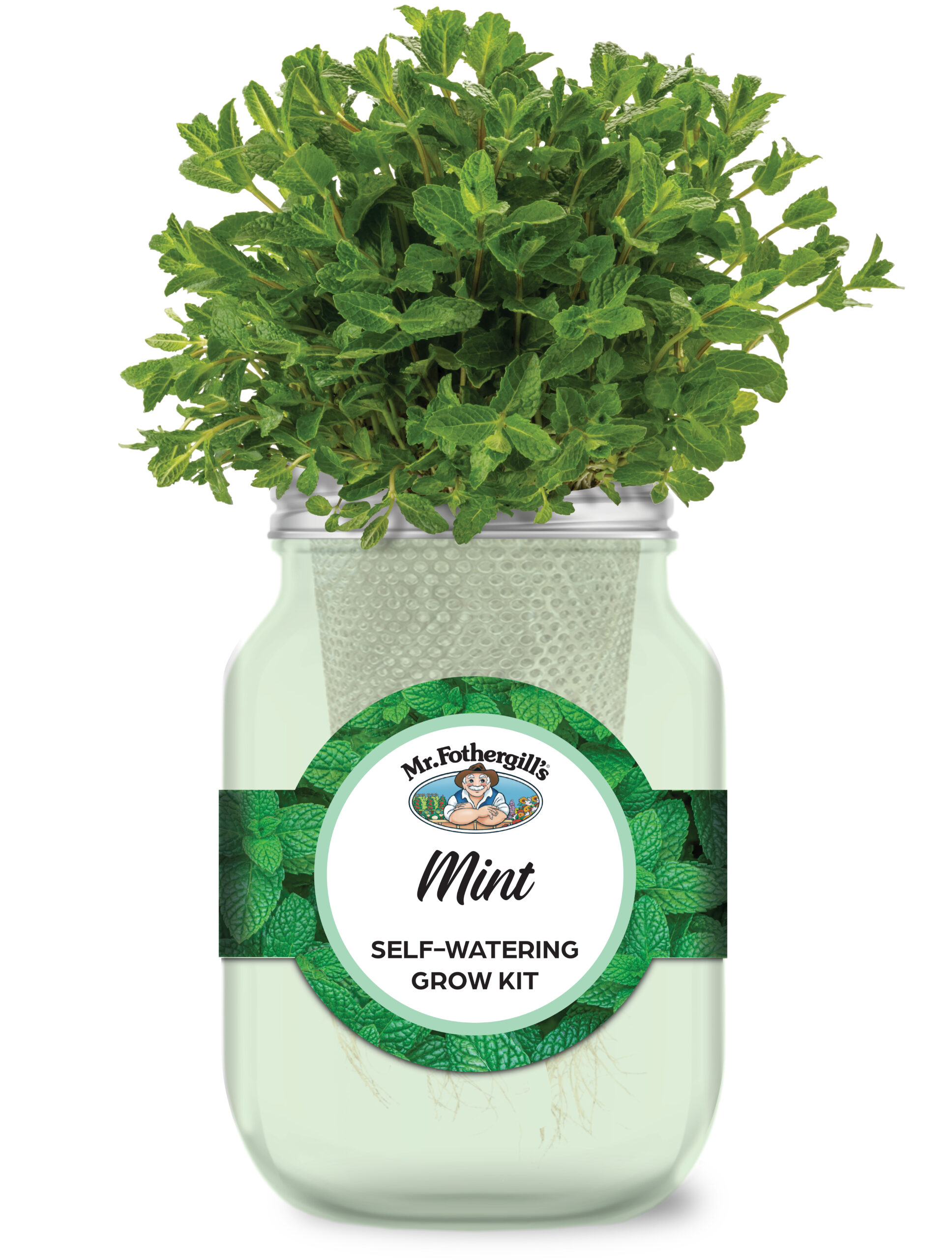 Spearmint Self-Watering Mason Jar Grow Kit - Image 2
