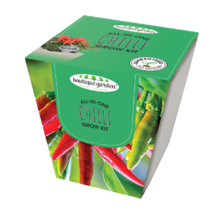 Square Ceramic Pot Chilli