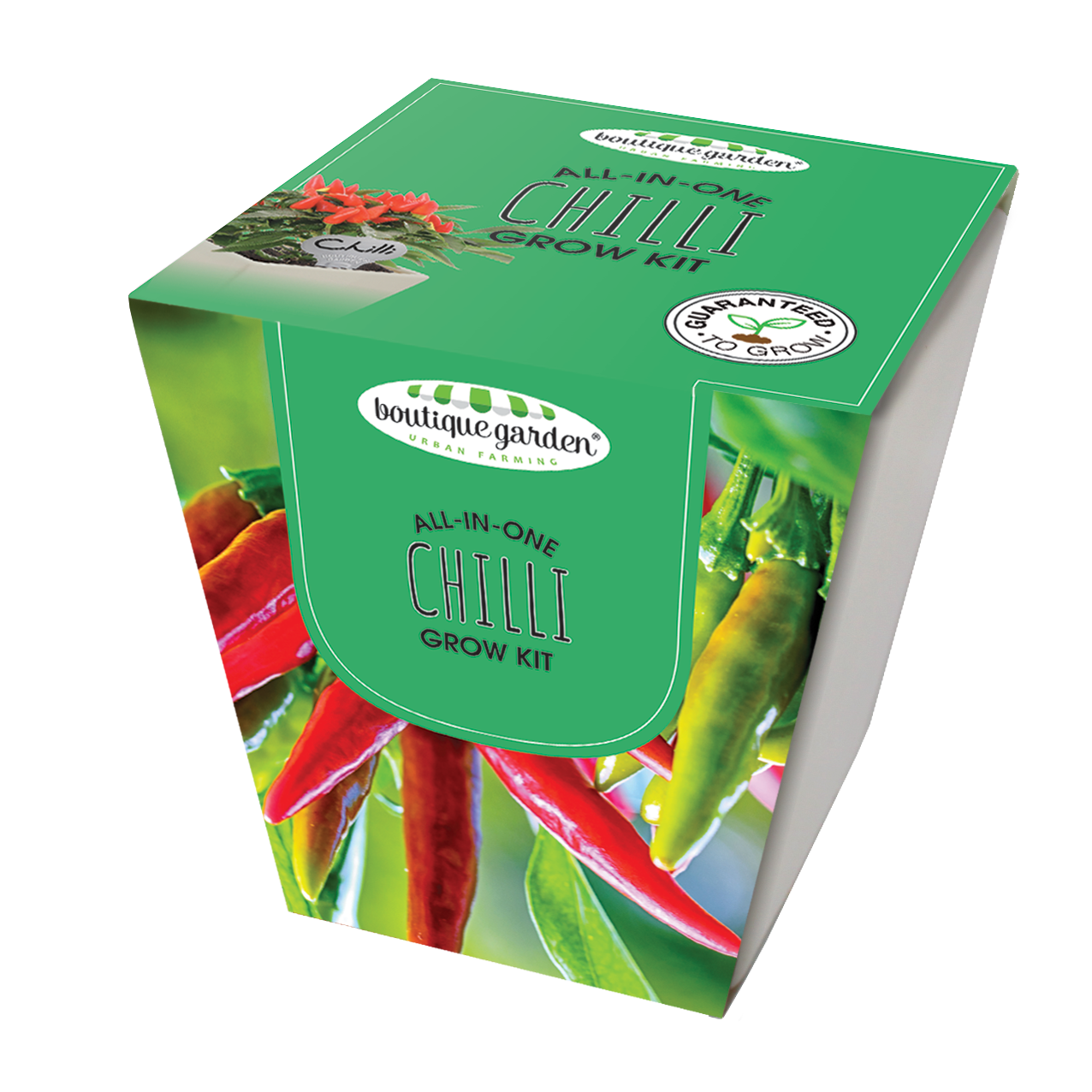 Square Ceramic Pot Chilli