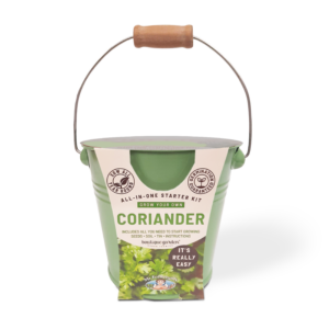 Coriander Seed Round Tin Grow Kit