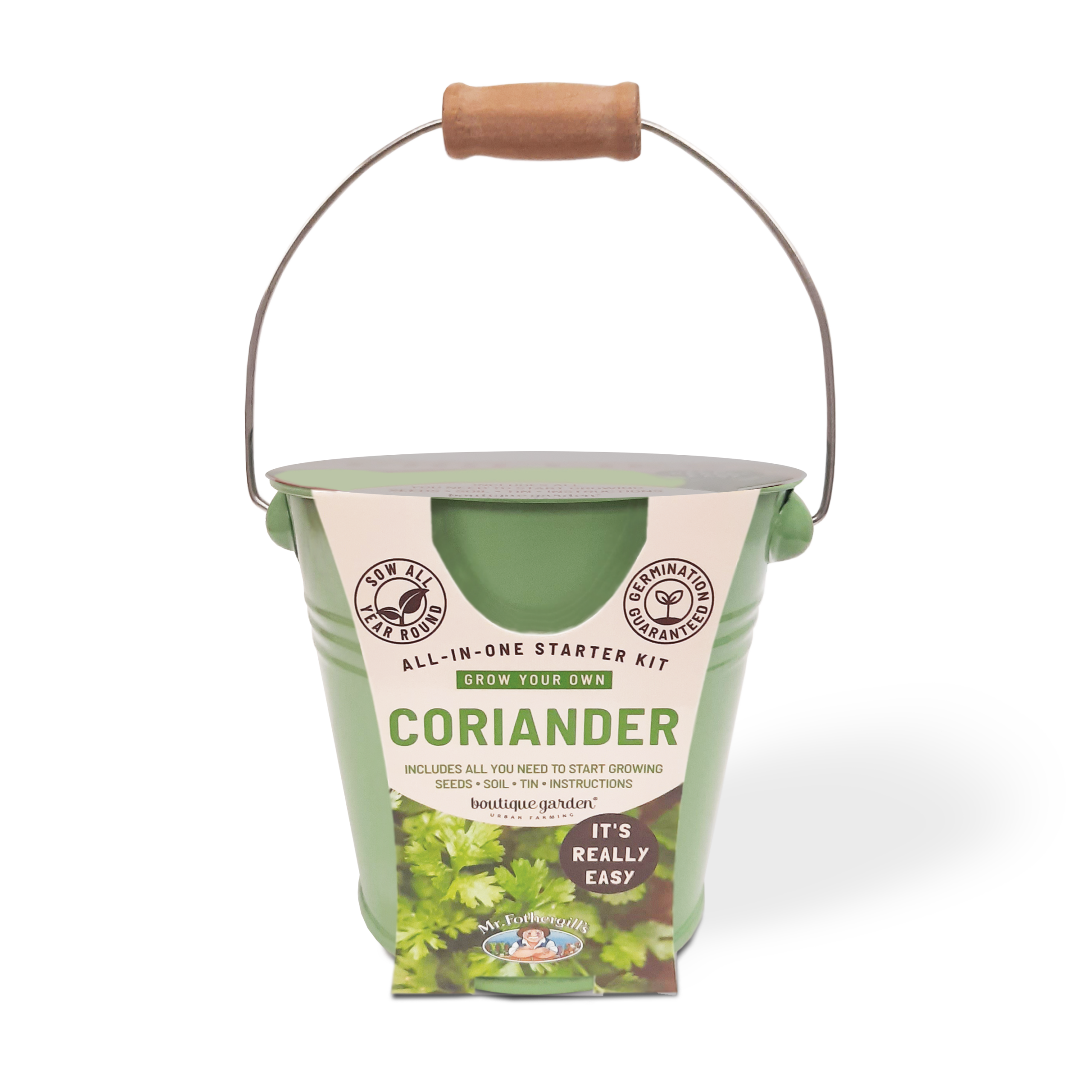 Coriander Seed Round Tin Grow Kit