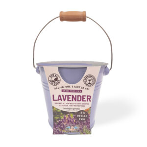 Lavender Seed Round Tin Grow Kit
