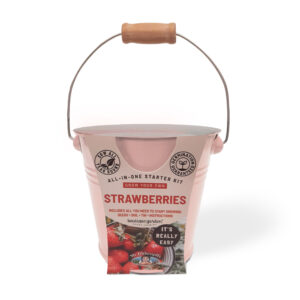 Strawberry Seeds Round Tin Grow Kit