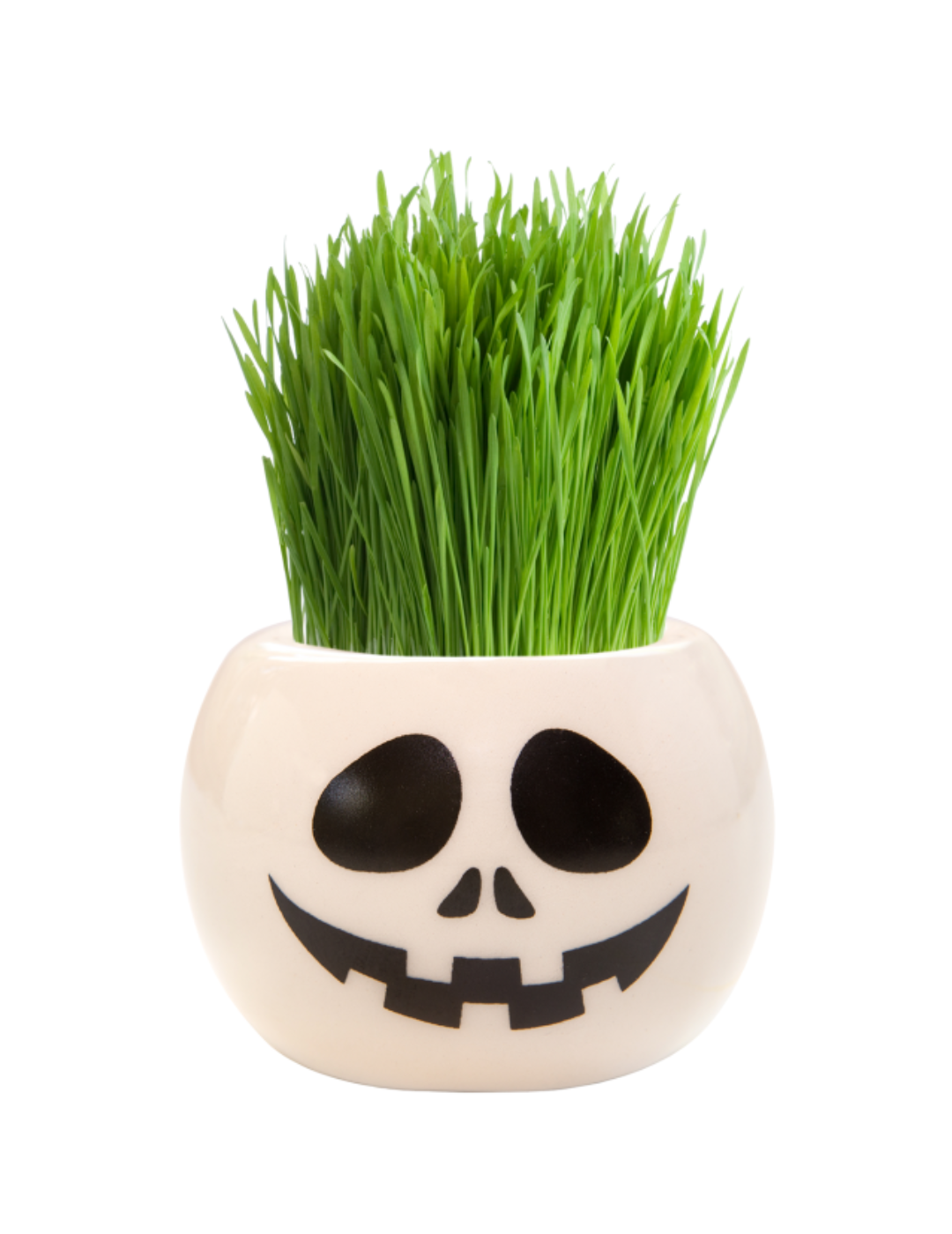 Grass Hair Kit - Halloween Party (Skull) - Image 2