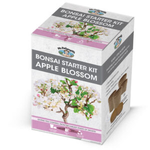 Apple Blossom Seed Bonsai Starter Kit