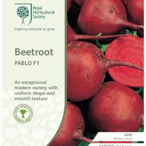 Beetroot Pablo F1