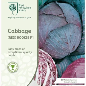 Cabbage (Red) Rookie F1