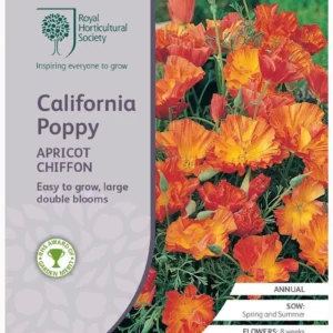 California Poppy Apricot Chiffon