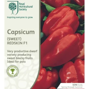 Capsicum Sweet Redskin F1
