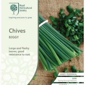 Chives Biggy