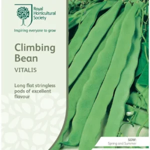 Climbing Bean Vitalis