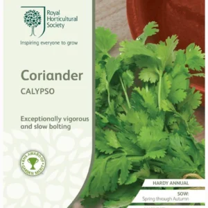 Coriander Calypso
