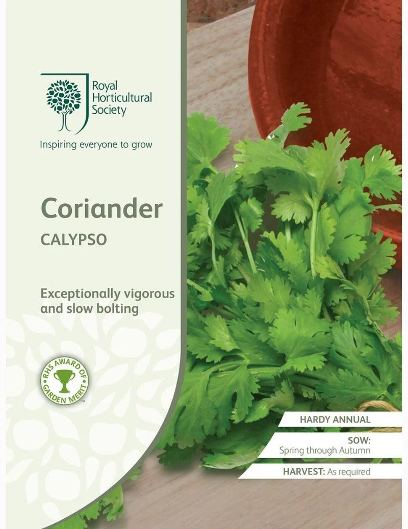 Coriander Calypso