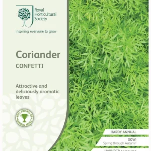 Coriander Confetti