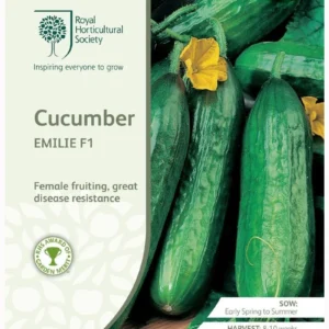 Cucumber Emilie F1